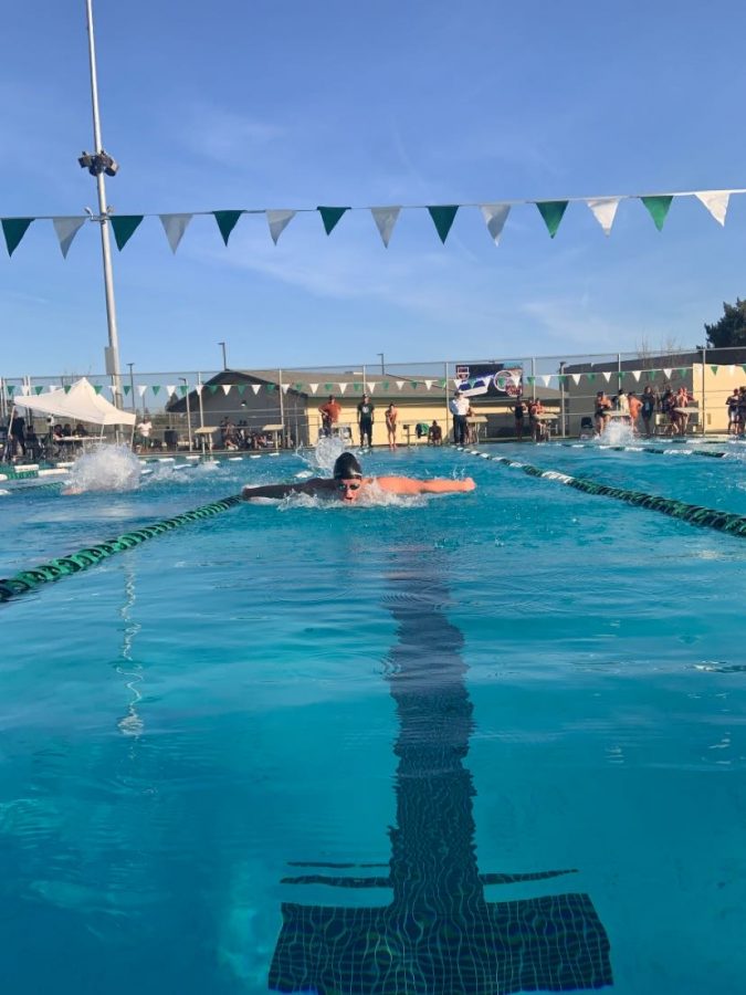 Selma High Swim Starts With a Splash