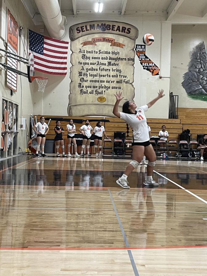 Chantel Rodriguez serves at a Home game against Kingsburg 