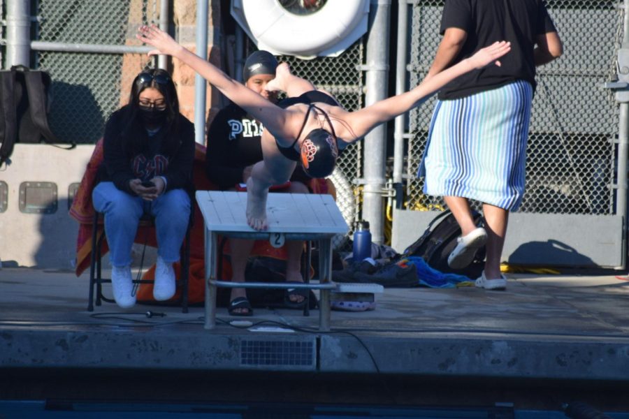 Sophomore Nina Valdez dives into the water at a meet against Kerman and Fowler. 
