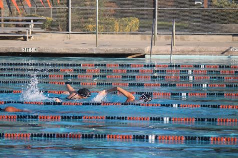 Selma High swimmers practicing after school.